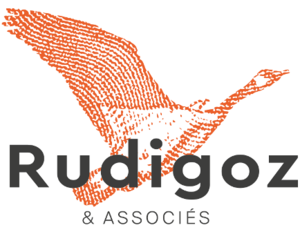 RUDIGOZ & Associés Lyon, Agence immobilière