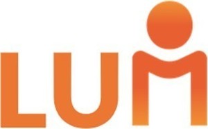 LUM Transition - Groupe LouerUnManager Paris 9, Consultant