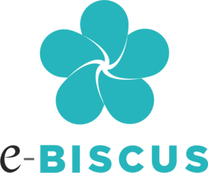 e-BISCUS Lyon, Création de site internet