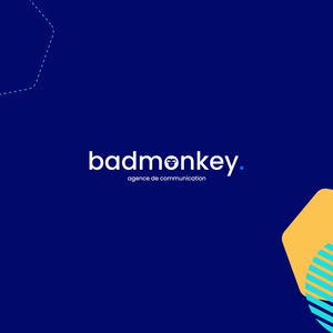 Bad Monkey Limoges, Agence de communication, Création de site internet