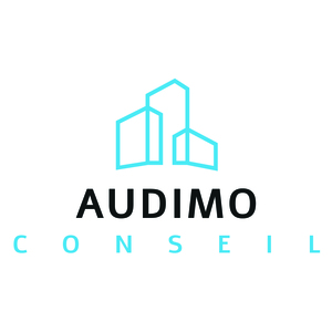 Audimo conseil Tassin-la-Demi-Lune, Diagnostics immobiliers