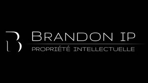 Brandon IP Paris 2, Consultant