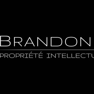 Brandon IP Paris 2, Consultant