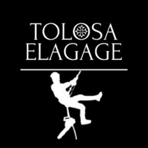 Tolosa Elagage - Abattage Toulouse Montrabé, Elagage abattage, Bois, Elagage abattage, Elagage et abattage, Elagueur