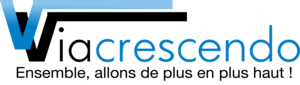 Viacrescendo Seysses, Consultant, Ressources humaines