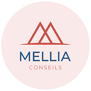 Mellia Conseils Saint-Quentin, TPE