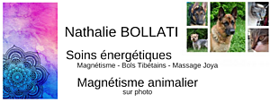 Nathalie BOLLATI - Magnétisme Boucau, TPE